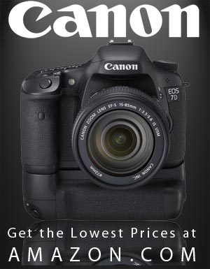 Buy the Canon 7D