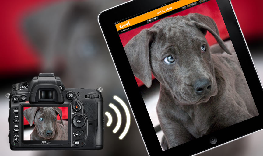 eye-fi-puppy The Eye-Fi Connects Directly to an iPad