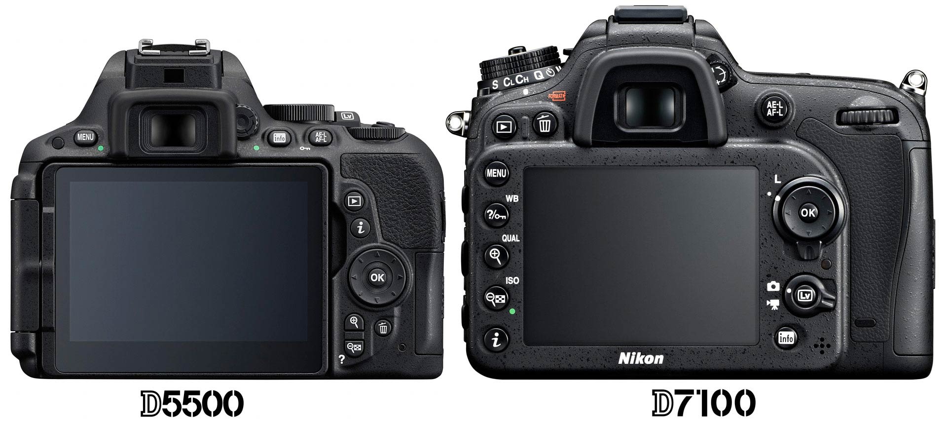 Nikon D5500 vs D7100 : Which Should You Buy? – Light And Matter