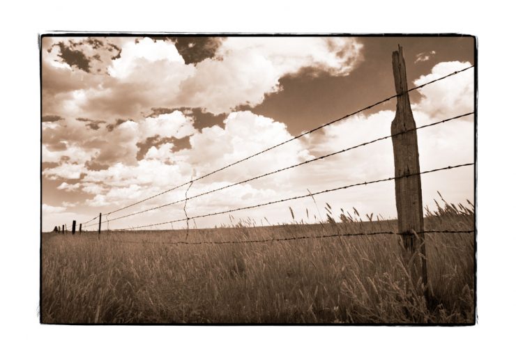 Barbed Wire Fence: Pawnee Grasslands, Colorado.