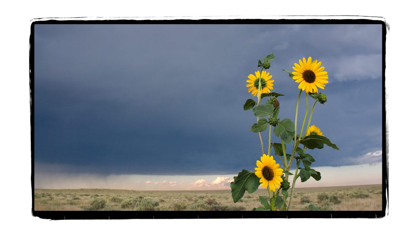 Pawnee Grasslands, Colorado