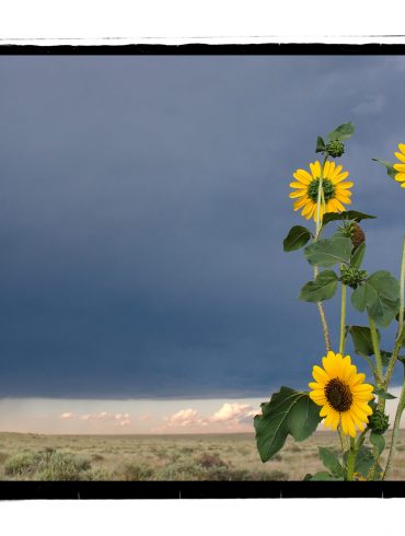 Pawnee Grasslands, Colorado