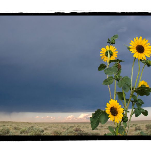 Pawnee Grasslands, Colorado