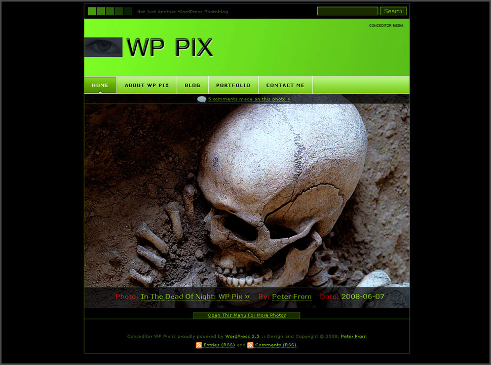 Free Photography WordPress theme : WP Pix Demo Screenshot