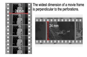 Comparison of movie film frame vs still camera frame