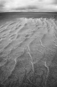 Ripples in the sand, Great Dunes National Monument, CO