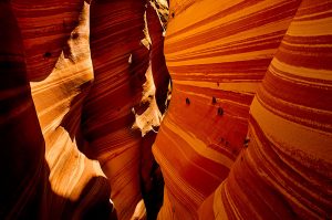 zebra canyon