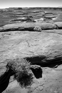 Green River Overlook, Canyonlands National Park