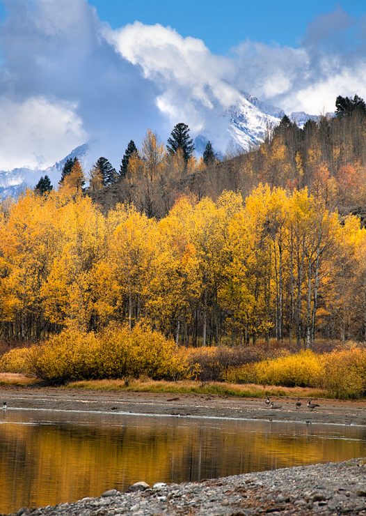 Grand Teton Autumn