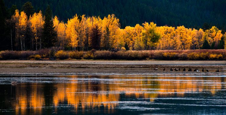 Snake River Overlook, Grand Teton National Park