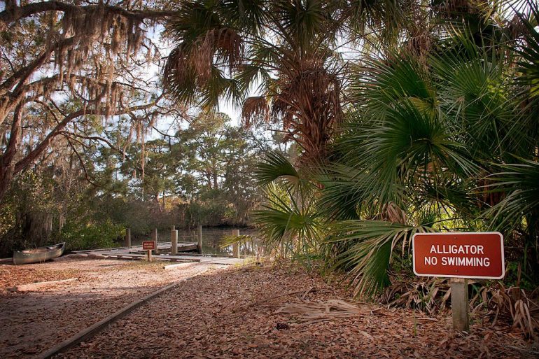 "Alligator, No Swimming" sign at Oscar Scherer State Park, FL
