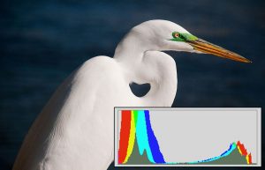 Example of histogram without clipped highlights