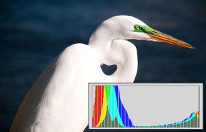 Example of histogram with clipped highlights