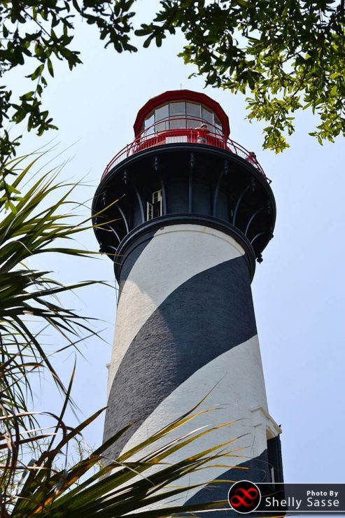 Lighthouse by Shelly Sasse