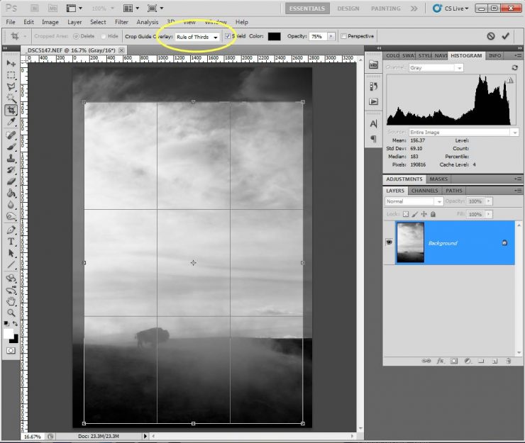 Photoshop Rule of Thirds Grid Overlay