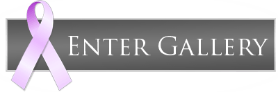 enter gallery