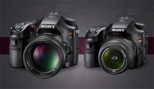 Sony SLT a77 and a65