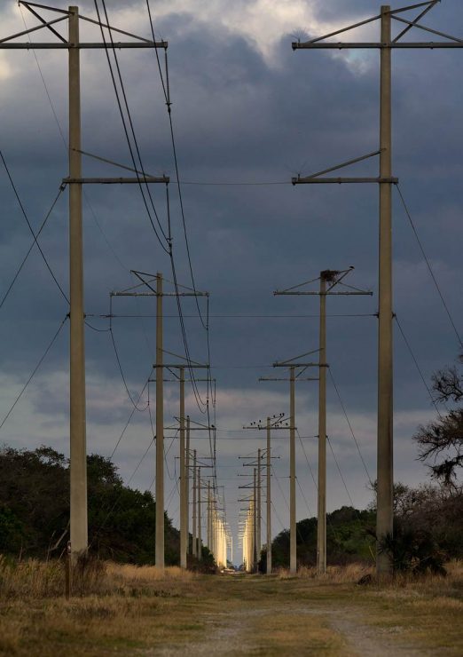 Powerline Road, Myakka River State Park