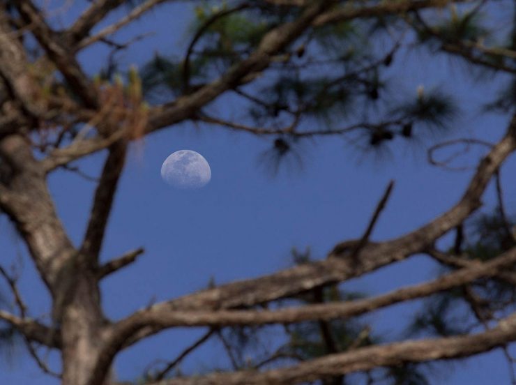 Waxing Gibbous Moon