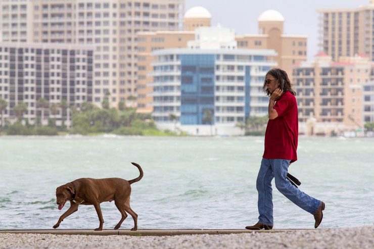 Dog Walker, Bird Key