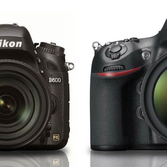 Size comparison of Nikon D600 and Nikon D800.