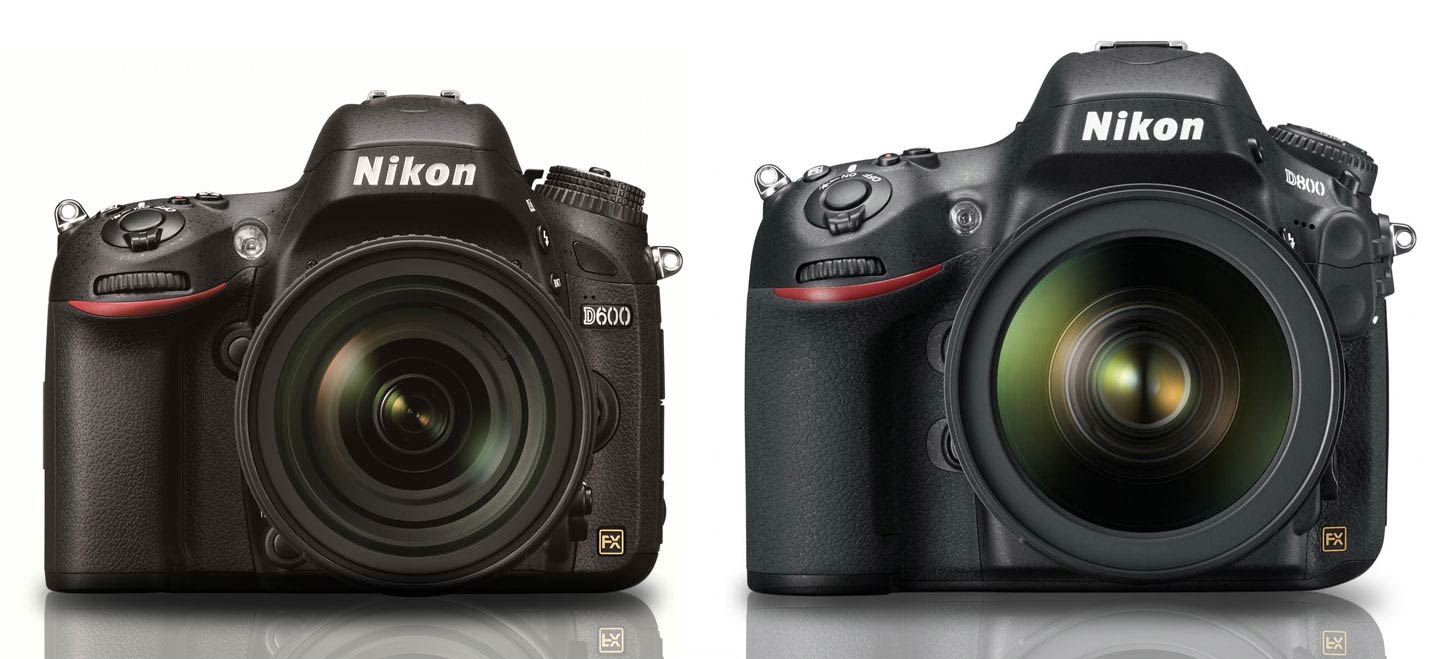 Size comparison of Nikon D600 and Nikon D800.