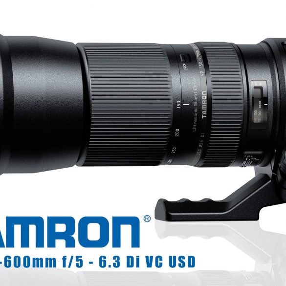 Tamron 150-600mm Lens