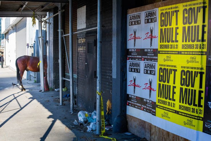Government Mule poster with horse