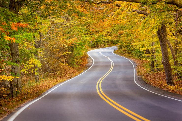 Cape Cod fall colors, near Provincetown airport