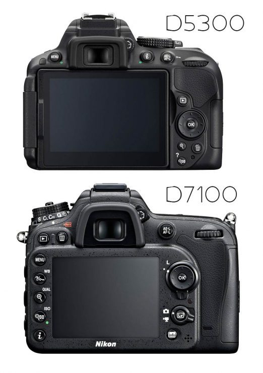 Nikon D5300 and D7100, backs