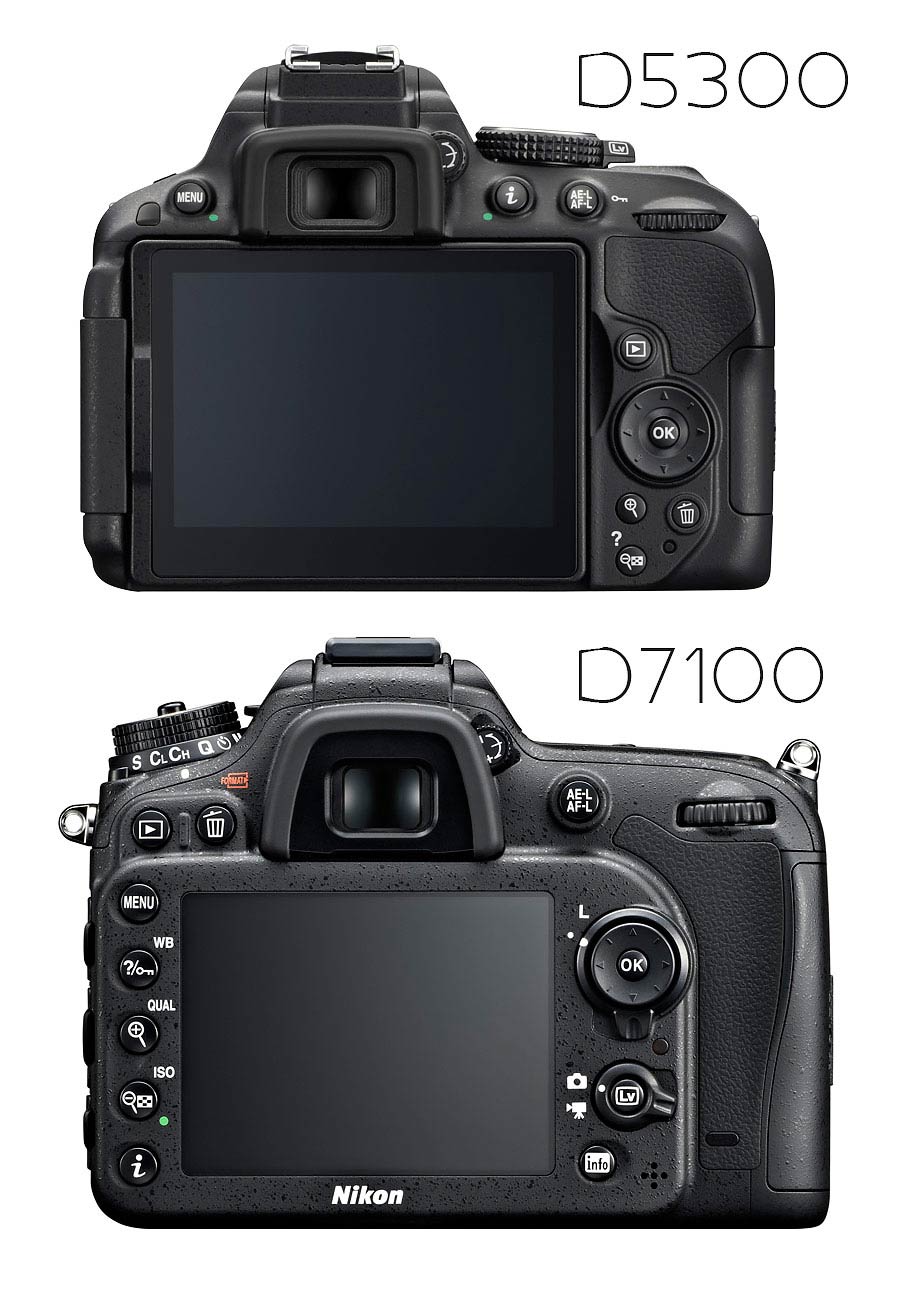 Nikon D5300 Vs D7100 Which Should You Buy Light And Matter