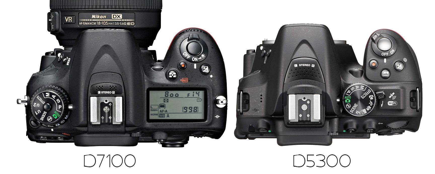 Uitstroom steeg Dialoog Nikon D5300 vs D7100 : Which Should You Buy? - Light And Matter