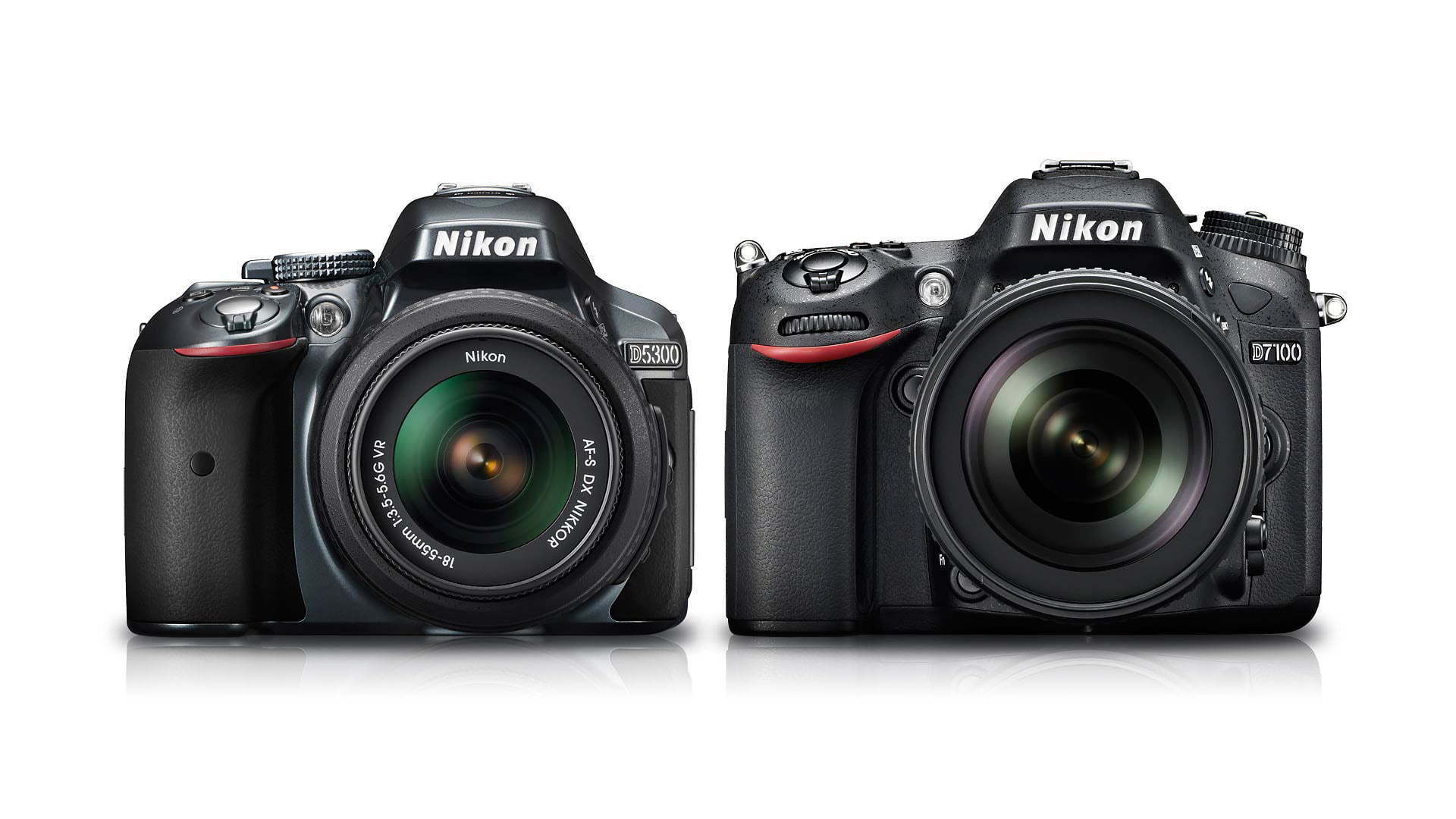 Nikon D5300 Vs D7100 Which Should You Buy Light And Matter