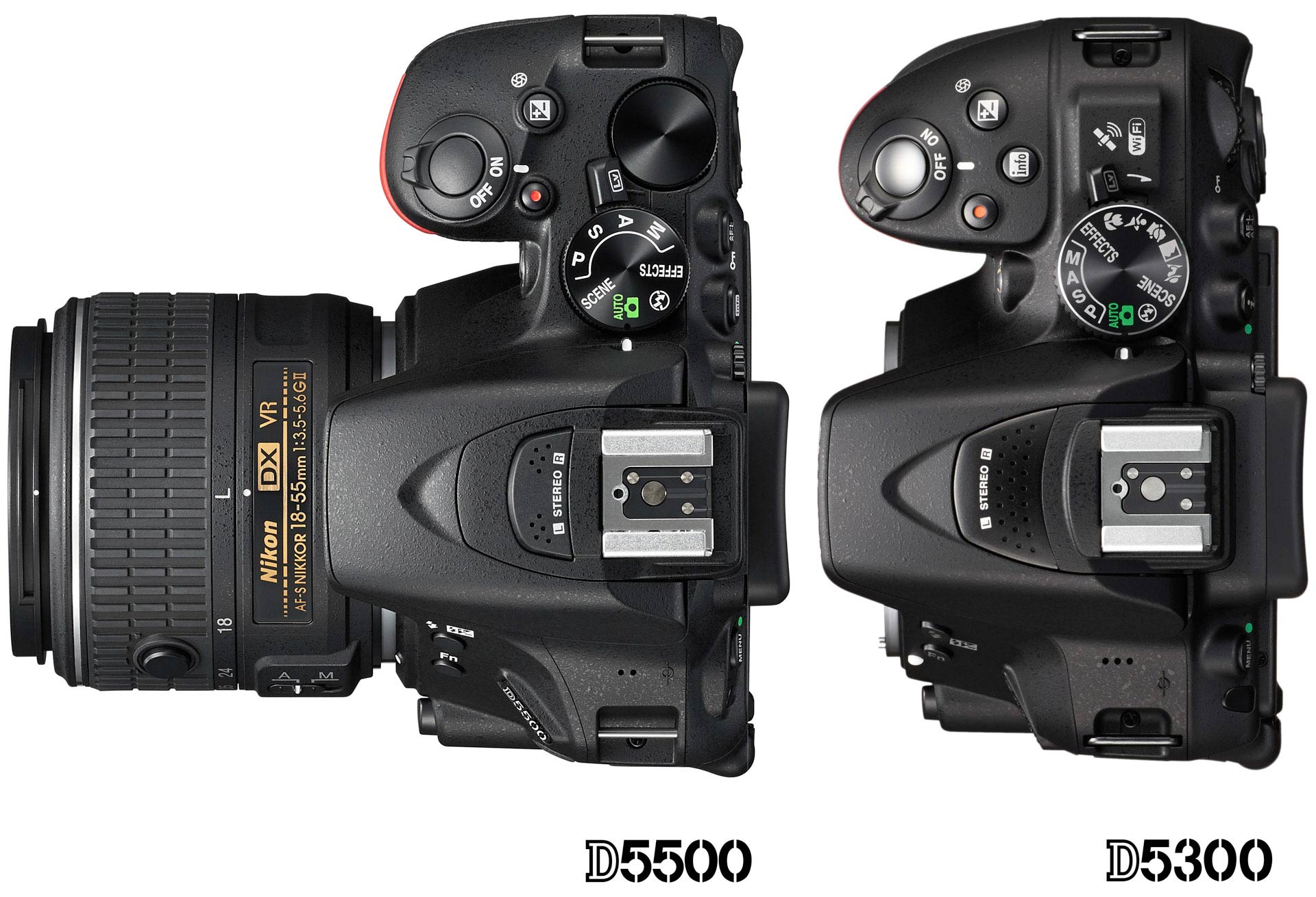 Nikon D5500 vs D7100 : Which Should You Buy? - Light And Matter