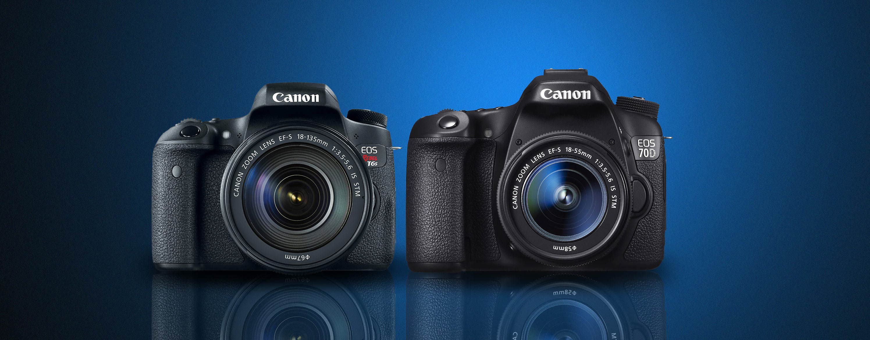 Canon T6s vs 70D: Which Should You Buy? - Light And Matter