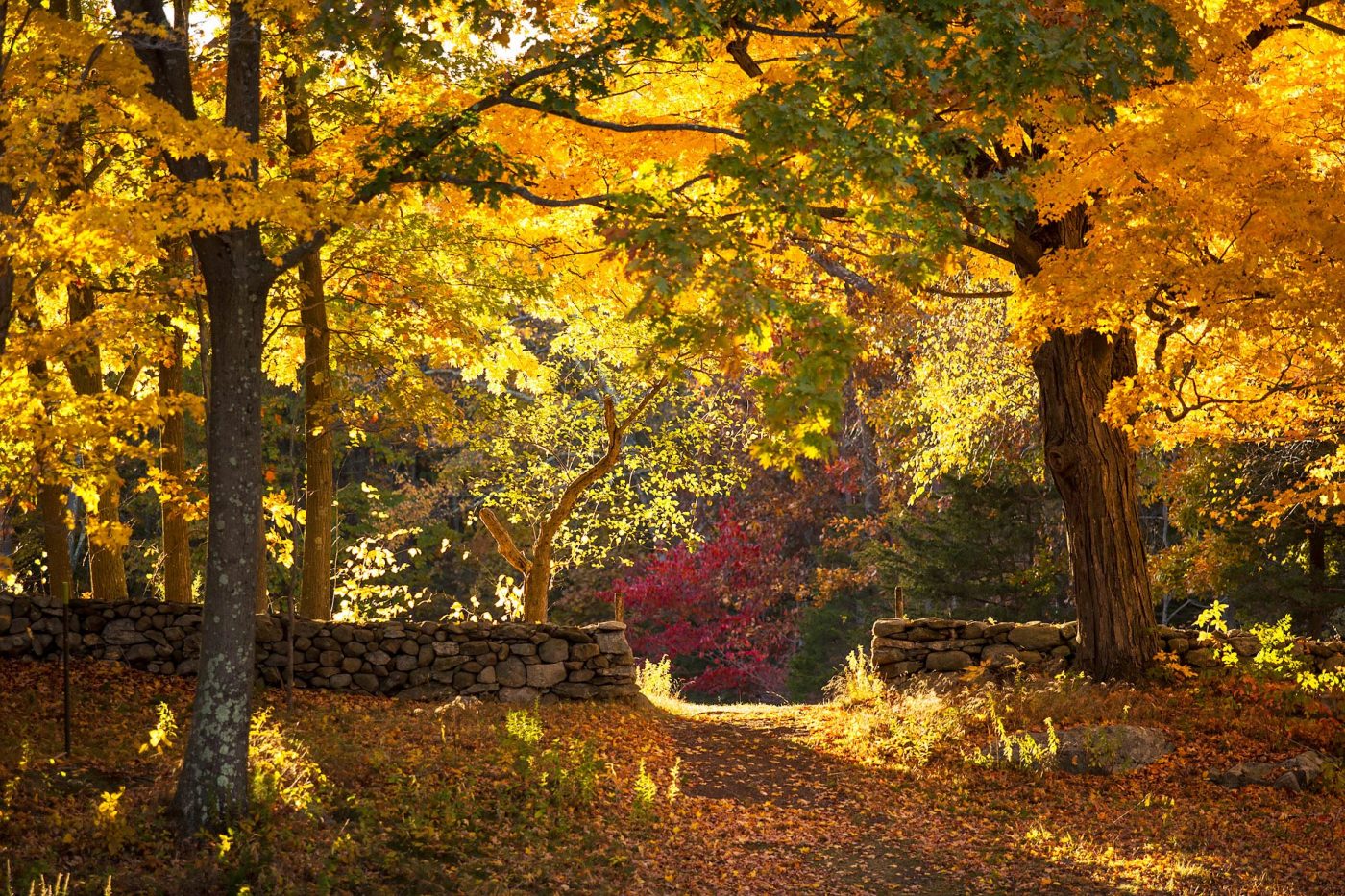 Fall colors at Weir Farm, Wilton CT