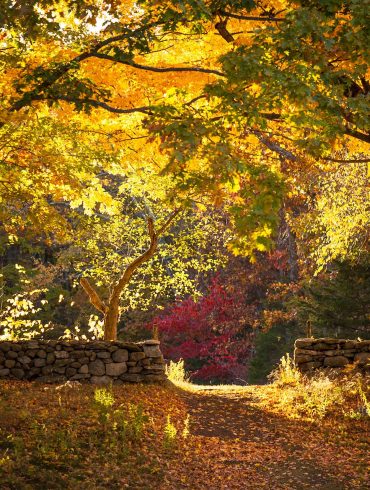 Fall colors at Weir Farm, Wilton CT