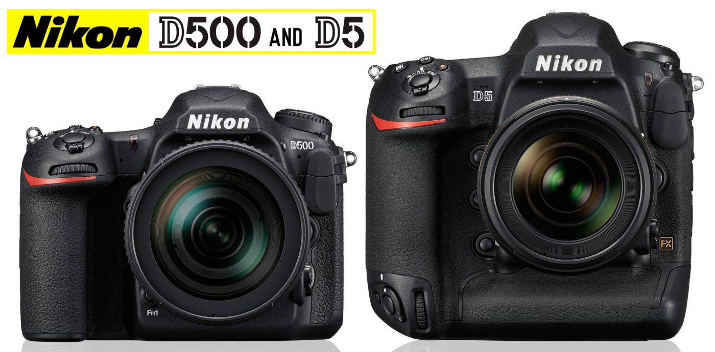 Nikon D500 and D5