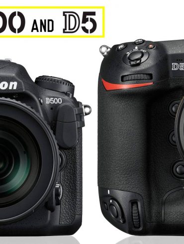 Nikon D500 and D5