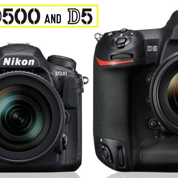 Nikon D500 and D5