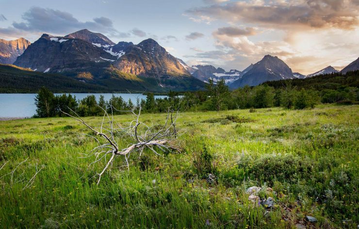 A meadow on the shores of Lake Sherburne, near Many Glacier, just before sunset.