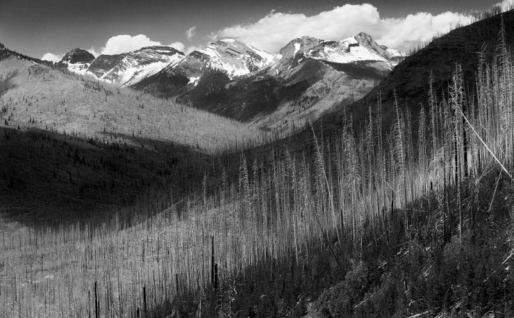 overlook on going to the sun road