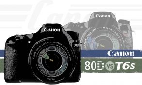 Canon 80D or T6s: Which Should You Buy? - Light And Matter