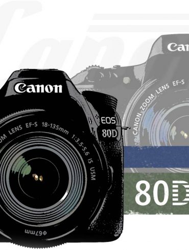 Canon T6s vs 80D