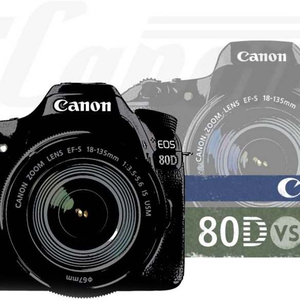 Canon T6s vs 80D