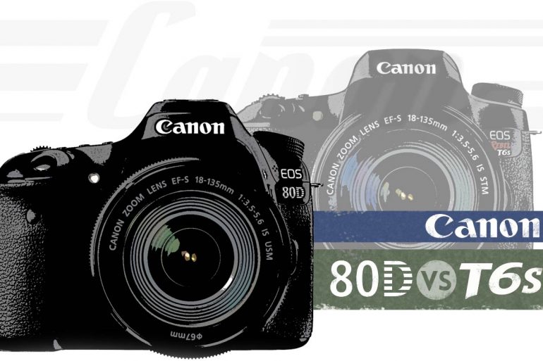 Canon T6s vs 80D