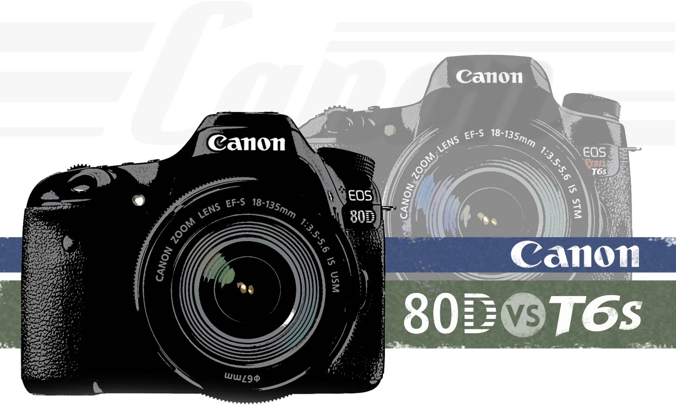 Canon T6s vs 80D