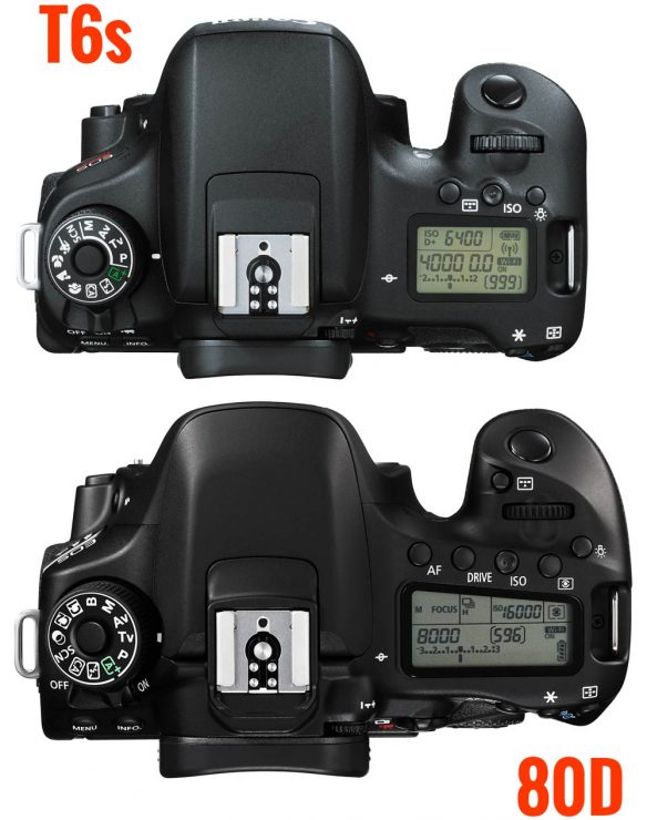 Canon-80D-and-t6s-TOP-view