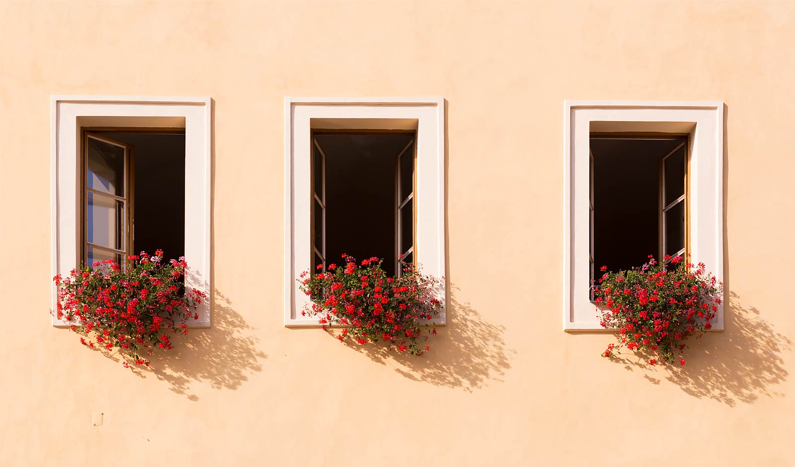 three windows with window boxes