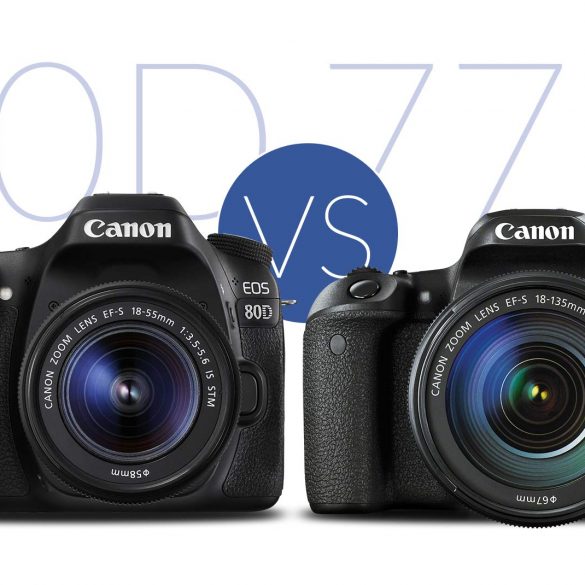 Canon 77D vs 80D banner